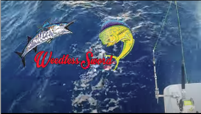 Fishing Boat With A Blue Marlin And Mahi-mahi Illustration